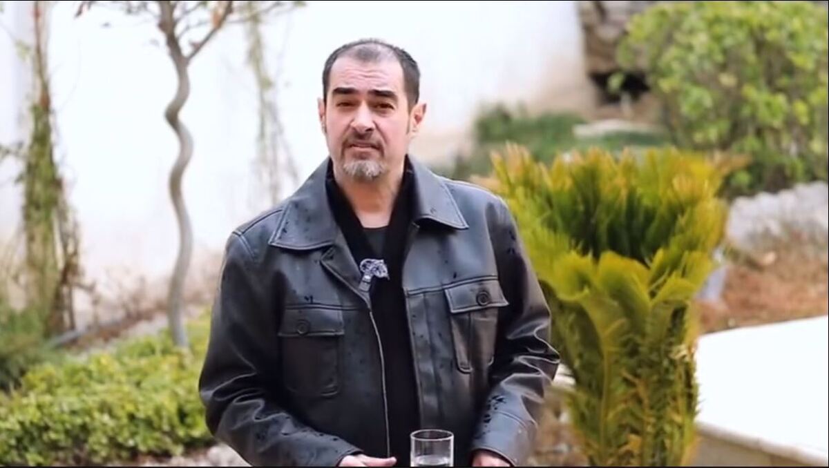 شهاب حسینی