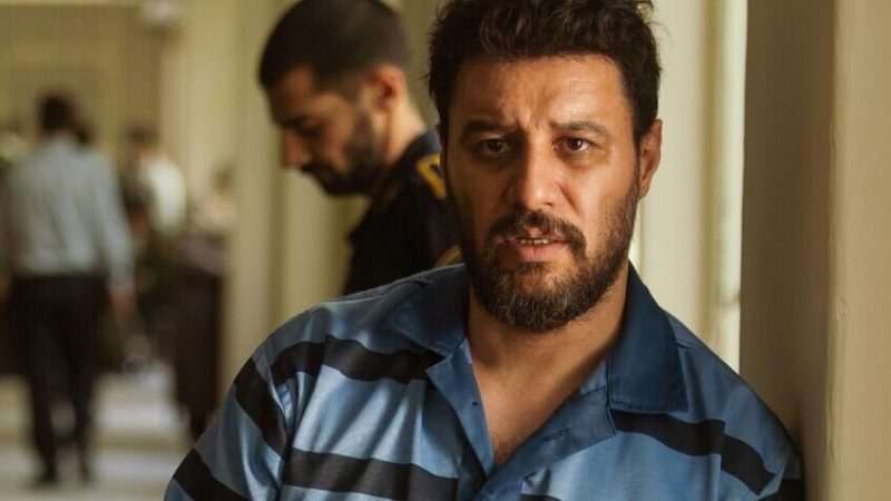 خبری مهم از سریال وحشی هومن سیدی رسید 